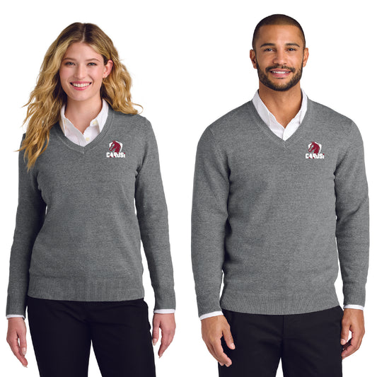CARUSI STAFF Easy Care V-Neck Sweater