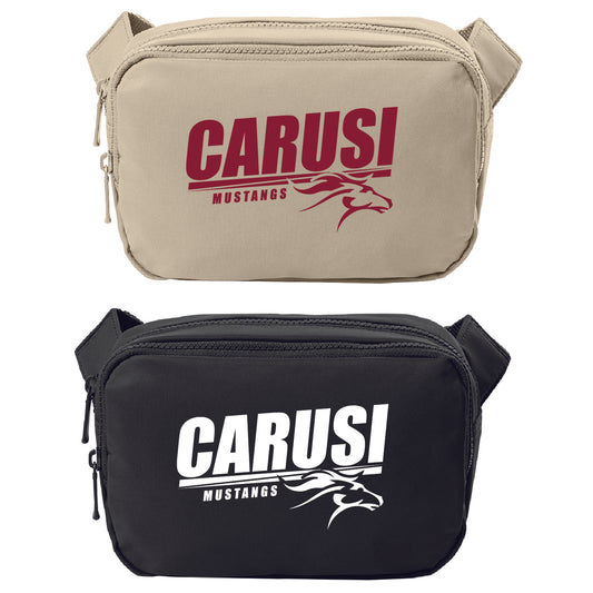 CARUSI Matte Dual-Compartment Crossbody